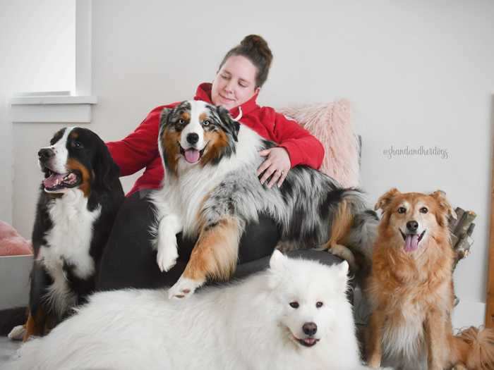 Shandess Griffin has four dogs: Zero the Samoyed, Navi the mutt, Arbor the Bernese mountain dog, and Harvest the Australian shepherd.