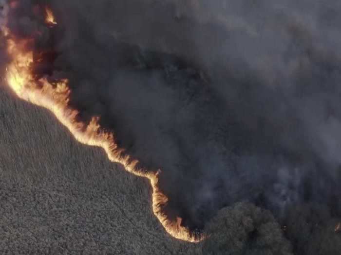 On April 4, a fire started in a forest in the western part of the Chernobyl Nuclear Power Plant Zone of Alienation — or exclusion zone — in northern Ukraine.