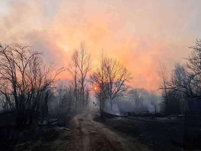 Ukrainian police blamed a 27-year-old local resident for starting the fire deliberately. According to Reuters, he has confessed to starting fires "for fun."