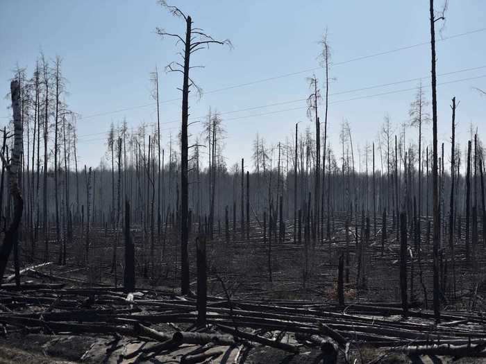 But after days of fighting the fire, there has been significant progress. On Tuesday, state emergency services said the blaze had been largely contained, though some "hot spots" still have to be cleared out.