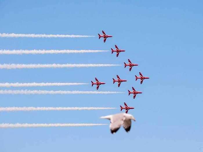 This bird could be flying at the same speed as those planes, and even has the contrail to prove it.