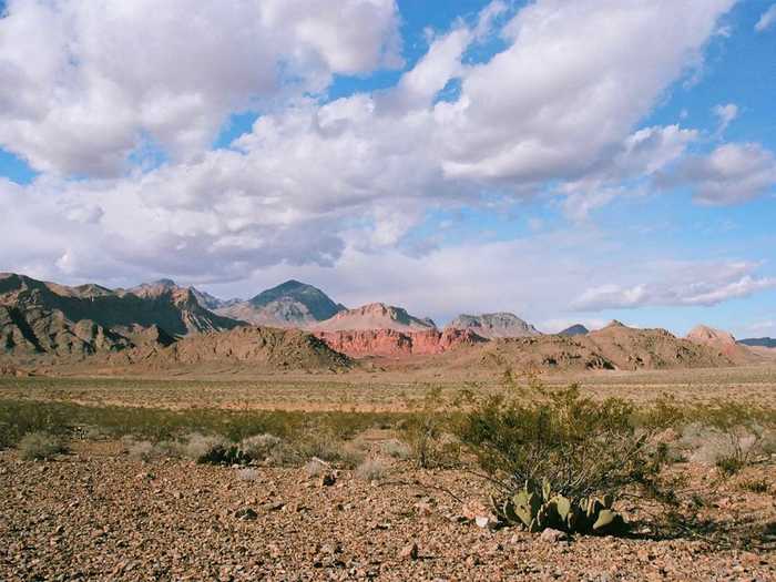 Bradley says the desert keeps calling him back; he has no plans of finding something else to photograph.