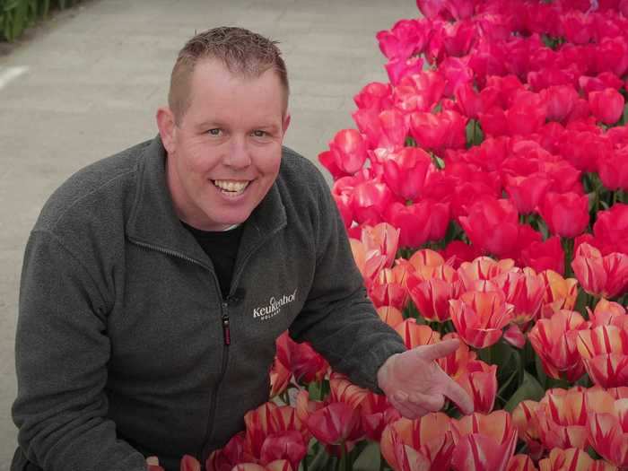 Gardener Michael van der Voet showed off his favorite tulip, the "Spryng Break."