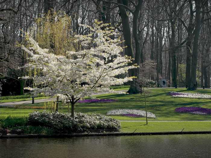 The Lake Garden is one of the oldest spots in Keukenhof.