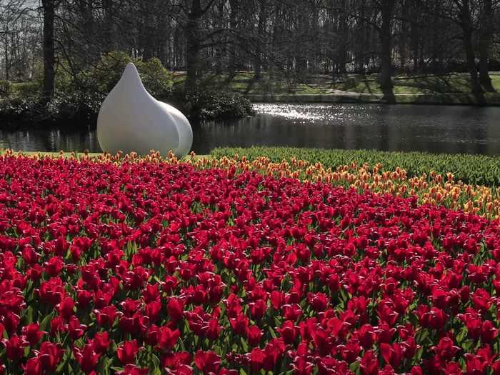 The garden features lakefront sculptures surrounded by tulips.