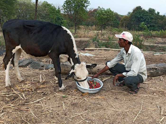 In India, lock down