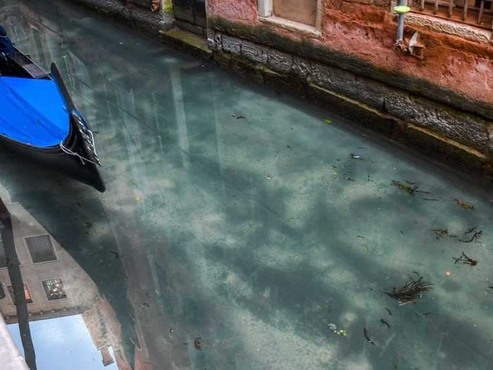 In March, photos of emerged of the canals of Venice so clear that fish were visible under the surface.