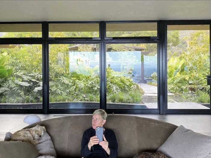 Ellen DeGeneres got cozy with her pets on the couch.