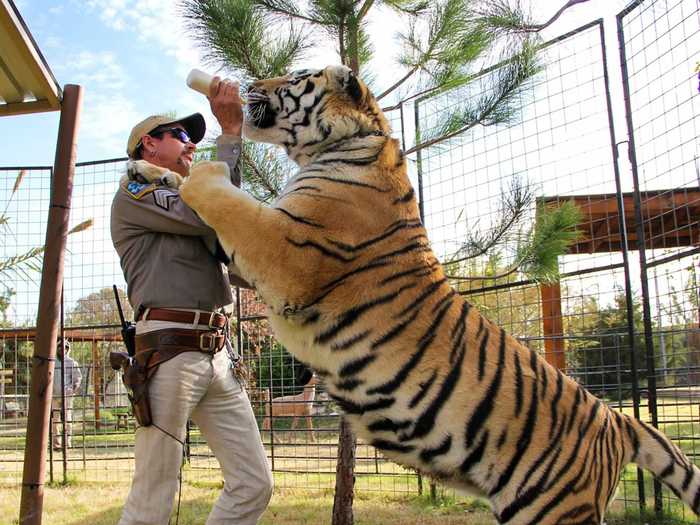 1. "Tiger King: Murder, Mayhem, and Madness" (Netflix)