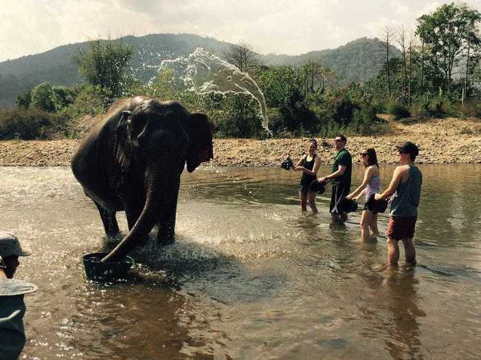 The water splashing in the air onto the elephant looks exactly like an elephant head.