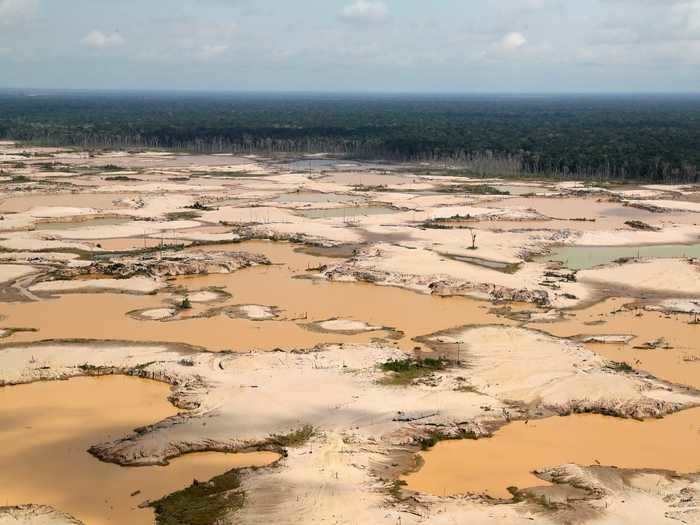 Illegal gold mining in Peru has wreaked havoc on its forests.