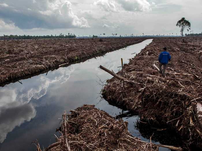 Indonesia