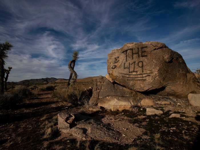 During the 2019 government shutdown, Joshua Tree National Park in California suffered damage that could take centuries to recover from.