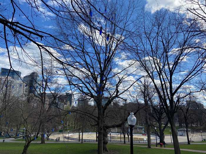 The Boston Common — a larger park next to the Boston Public Garden — was also empty. I saw more people out for walks in the park, but still nowhere near a typical spring weekend. The ones who were there seemed to be observing a respectful 6 foot distance from others.