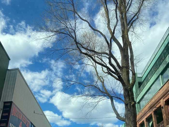 Fenway would usually be bustling during baseball season. But no one was jostling for Fenway Franks or scalped tickets.