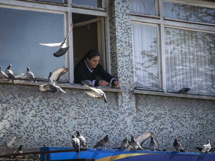 A man in Ankara, Turkey, fed pigeons outside of his window during a curfew imposed on residents in April.