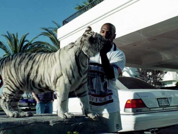 Birds are not the only animals Tyson loves. He also kept tigers but came to regret the decision to have them on his property in the 1990s as one of them attacked a woman who trespassed on his property and he had to pay her $250,000. "I loved them … [but] I shouldn