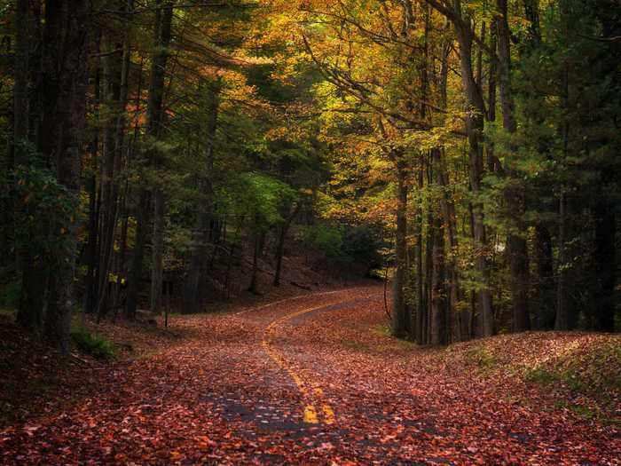 WEST VIRGINIA: Scenic roads