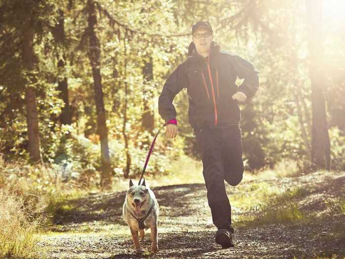 A hands-free leash to keep your dog close