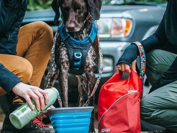 A pouch that will keep kibble fresh