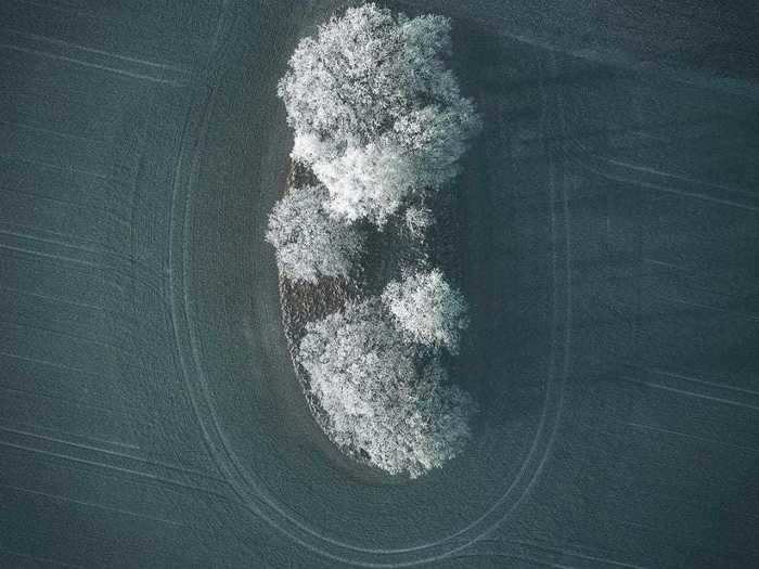 This minimalistic photo of snow-capped trees from the sky is nothing short of magical.