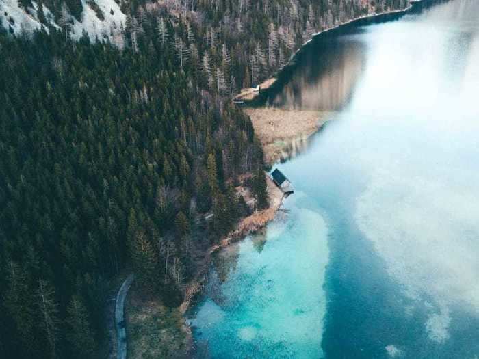 This dense, Austrian forest stands at the edge of a lake.