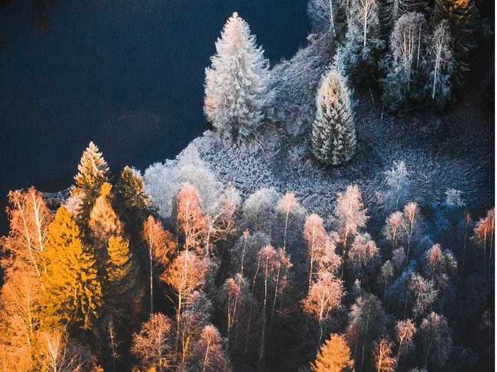 Some aerial shots of trees can capture a landscape stuck between seasons.