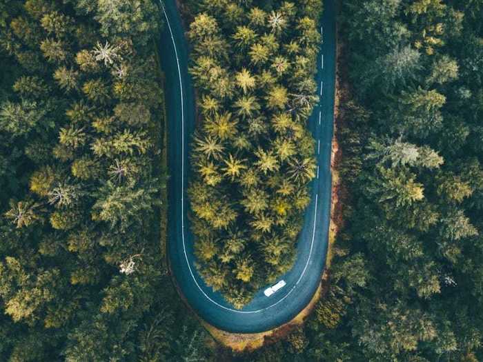 This U-shaped road cuts through a dense forest in Madeira, Portugal.