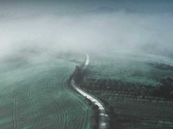 This road in Tuscany, Italy, cuts through farmland.