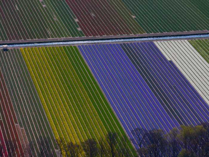 Get high enough, and the world can begin to show patterns, like these colorful flower fields just outside of Amsterdam, Netherlands.