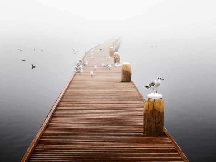 Meanwhile, this photo of birds is meant to represent silence.