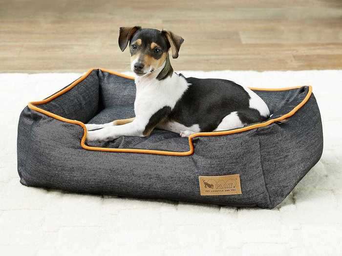 A lofty pet bed