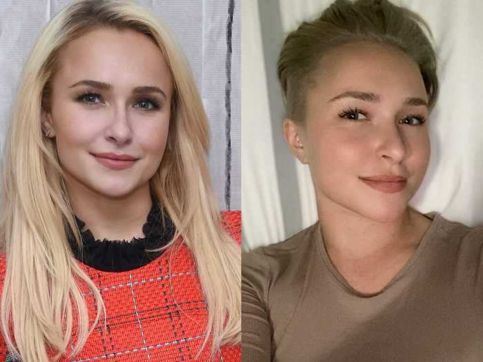 Hayden Panettiere drastically switched up her look with a dark blonde pixie cut.