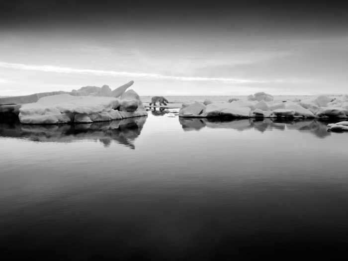 Winter temperatures in the Arctic can be as low as -50 degrees Fahrenheit for weeks on end. In this image, Johansen captured a polar bear traversing its icy home.