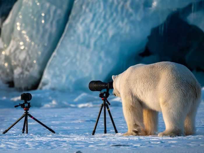Who says nature photographers have to be human?