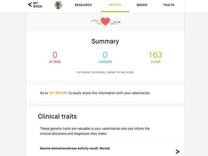 Embark tests your pup for over 175 genetic health conditions and traits.