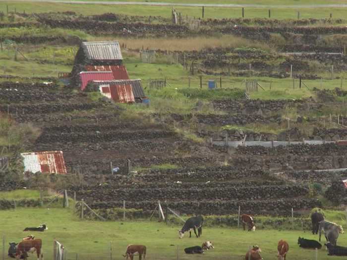 Every family living on the island has a few fields to grow potatoes and other crops.