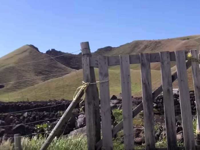 They harvest inside "walled patches" made from volcanic rock, and use hand tools rather than harvesting machinery.