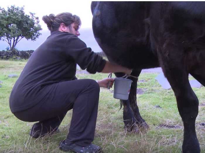 They can also use the space to take care of their livestock and let them graze.