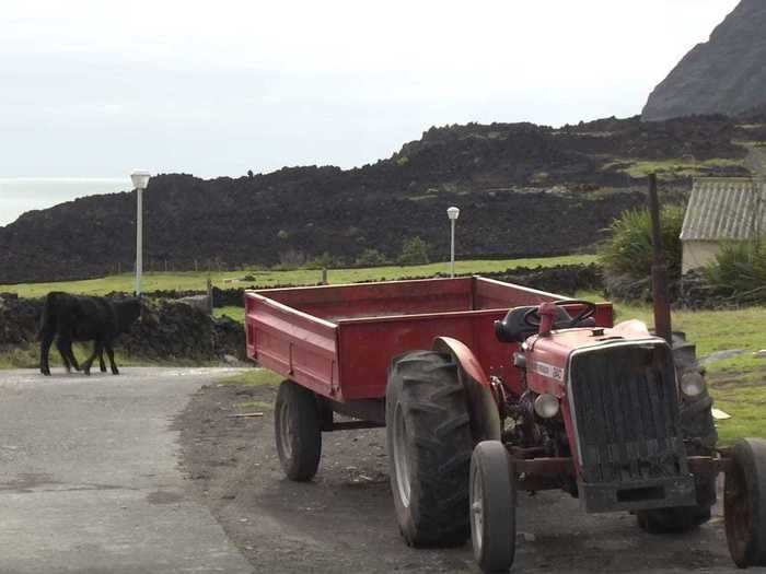 An islander told the Redfern Natural History Productions reporter the first time he had ever ridden in a car was in England during the evacuation. He said he only really rides on donkeys on Tristan.