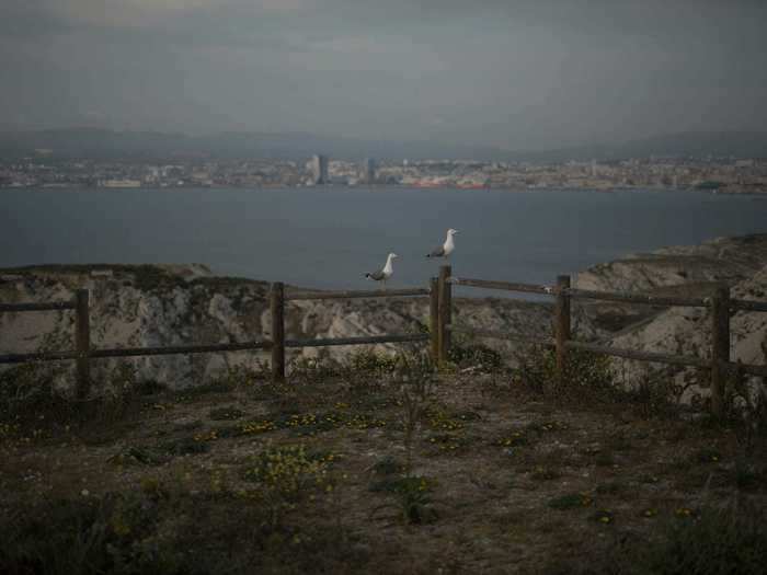 "We are not experiencing quite the same quarantine as Frioul has seen in its past, but people are definitely afraid of this virus," Tellier told the AP. Now, seagulls are the islands