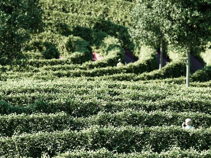 At times, the hedges create the illusion that there is no one else around. Other times, visitors can see over a hedge and across the garden.