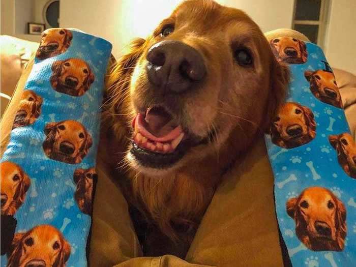 A pair of custom dog print socks