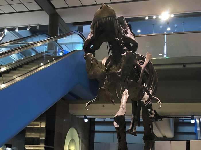 She took photos throughout the airport, posing near different landmarks in the building.