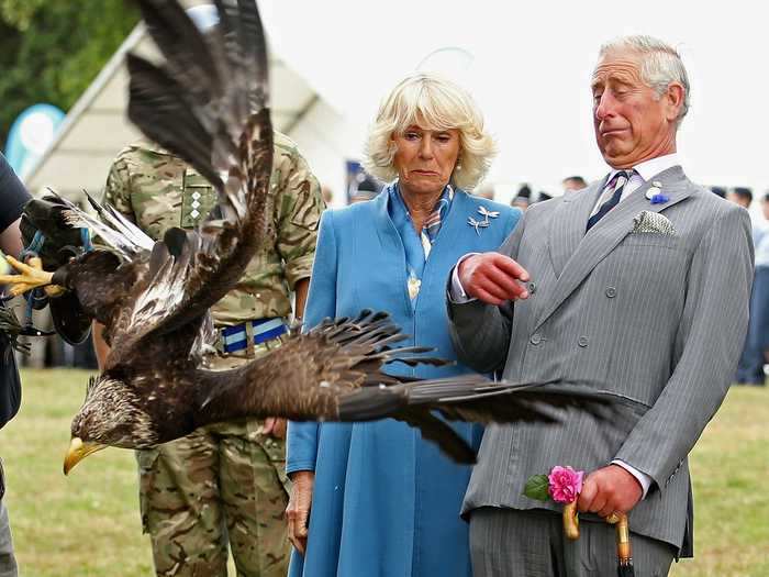 Prince Charles and Camilla got a little too close for comfort to a bald eagle.