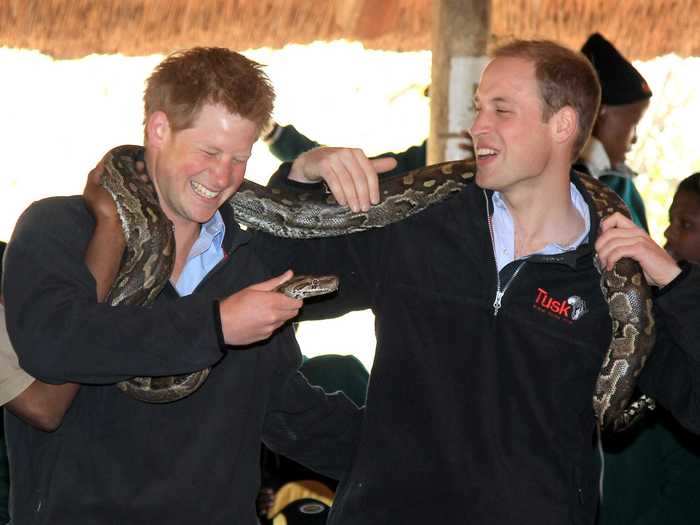 Prince William and Prince Harry befriended an African rock python in Botswana.