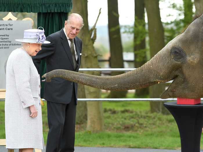 Donna the elephant looked delighted to meet Queen Elizabeth and Prince Philip.