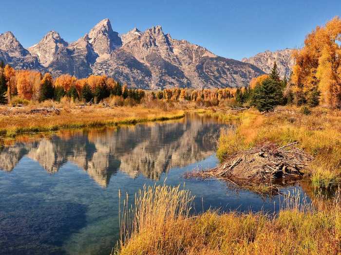 9. Wyoming ranked poorly for both its work and living environments.