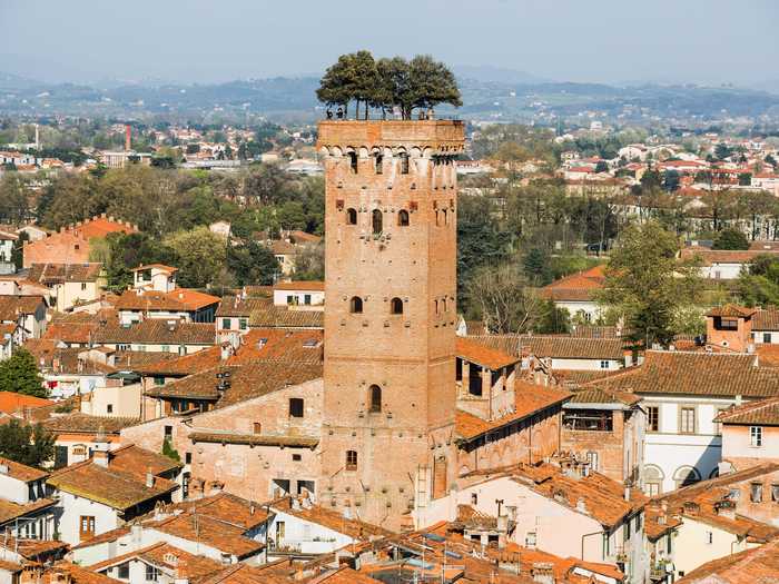 Located in Lucca, Italy, the Torre Guinigi is a 145-foot tall brick tower topped with an array of holm oak trees.