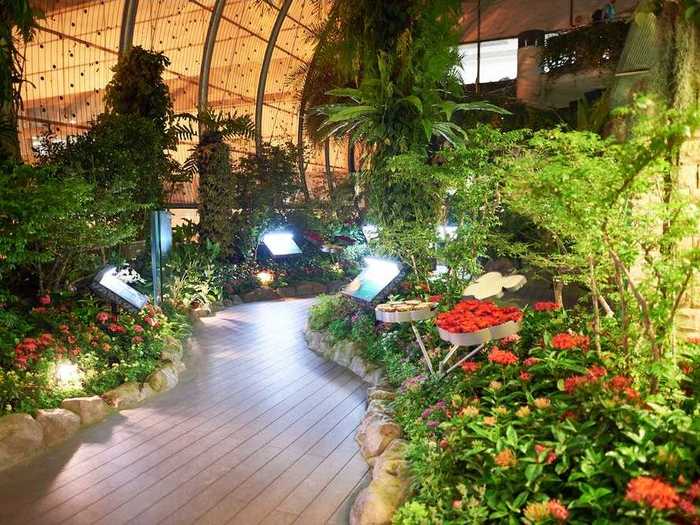 In Singapore, the Butterfly Garden is located inside a bustling airport – the Changi Airport.